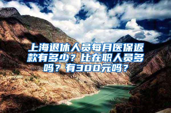 上海退休人员每月医保返款有多少？比在职人员多吗？有300元吗？