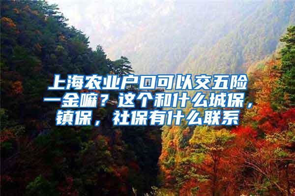 上海农业户口可以交五险一金嘛？这个和什么城保，镇保，社保有什么联系