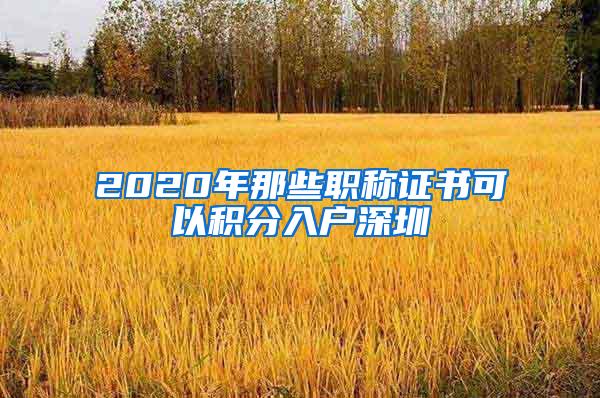 2020年那些职称证书可以积分入户深圳