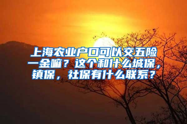 上海农业户口可以交五险一金嘛？这个和什么城保，镇保，社保有什么联系？