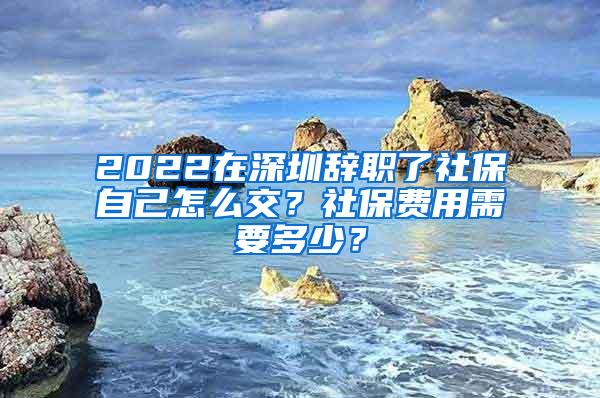 2022在深圳辞职了社保自己怎么交？社保费用需要多少？