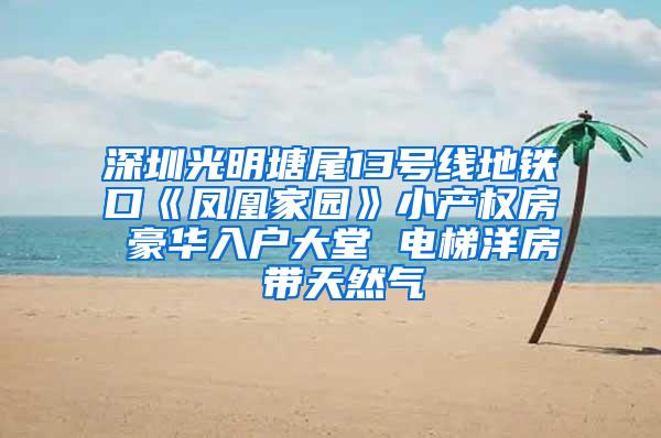 深圳光明塘尾13号线地铁口《凤凰家园》小产权房 豪华入户大堂 电梯洋房 带天然气