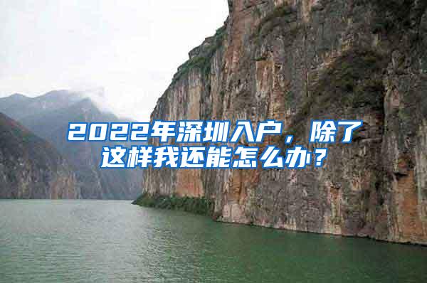 2022年深圳入户，除了这样我还能怎么办？