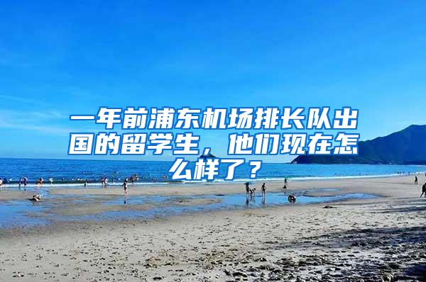 一年前浦东机场排长队出国的留学生，他们现在怎么样了？