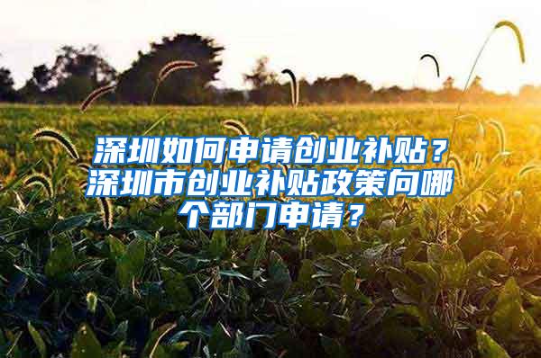 深圳如何申请创业补贴？深圳市创业补贴政策向哪个部门申请？