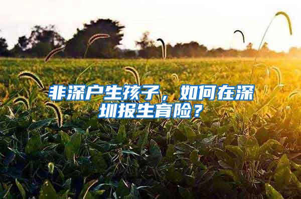 非深户生孩子，如何在深圳报生育险？