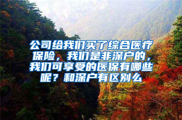 公司给我们买了综合医疗保险，我们是非深户的，我们可享受的医保有哪些呢？和深户有区别么