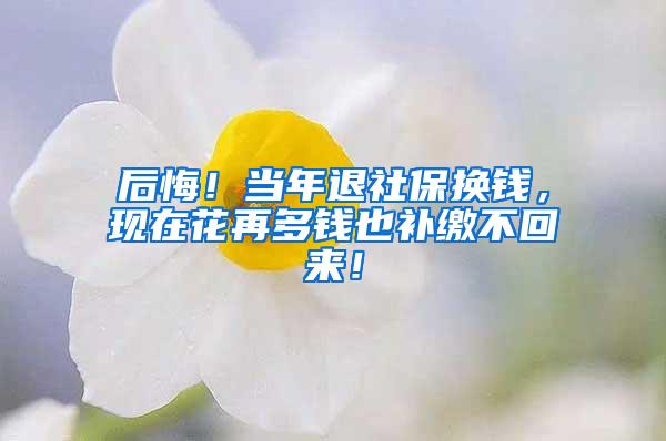 后悔！当年退社保换钱，现在花再多钱也补缴不回来！