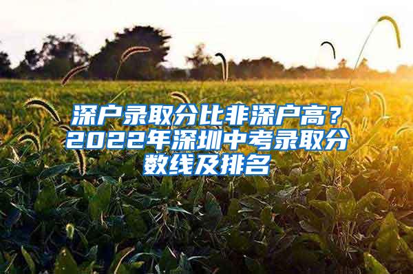 深户录取分比非深户高？2022年深圳中考录取分数线及排名