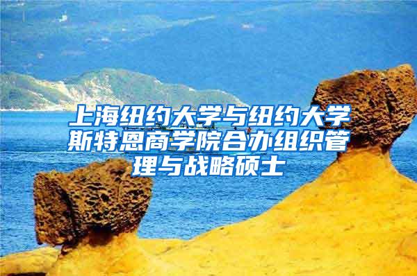 上海纽约大学与纽约大学斯特恩商学院合办组织管理与战略硕士