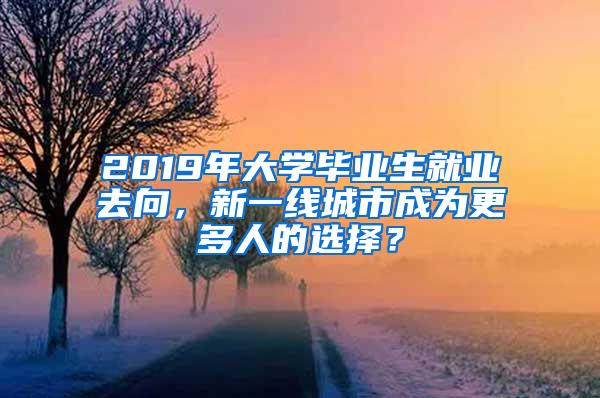 2019年大学毕业生就业去向，新一线城市成为更多人的选择？