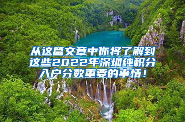 从这篇文章中你将了解到这些2022年深圳纯积分入户分数重要的事情！