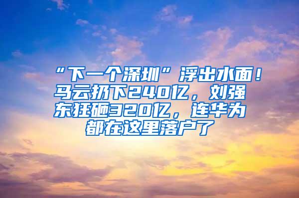 “下一个深圳”浮出水面！马云扔下240亿，刘强东狂砸320亿，连华为都在这里落户了