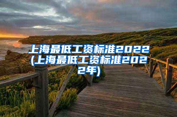 上海最低工资标准2022(上海最低工资标准2022年)