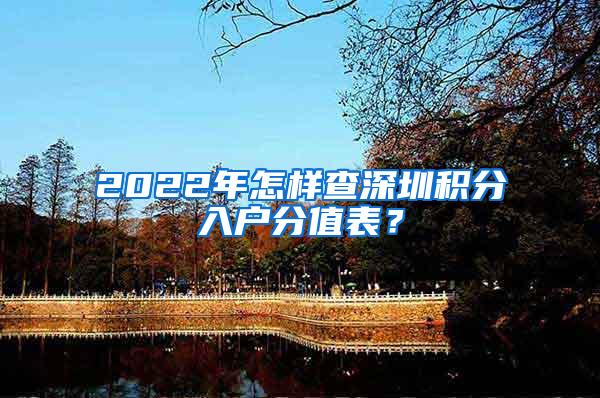 2022年怎样查深圳积分入户分值表？