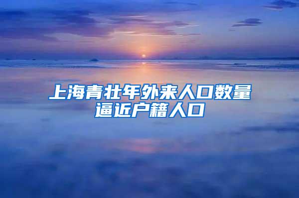 上海青壮年外来人口数量逼近户籍人口