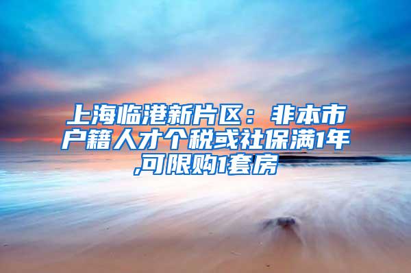上海临港新片区：非本市户籍人才个税或社保满1年,可限购1套房