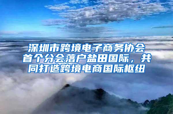 深圳市跨境电子商务协会首个分会落户盐田国际，共同打造跨境电商国际枢纽