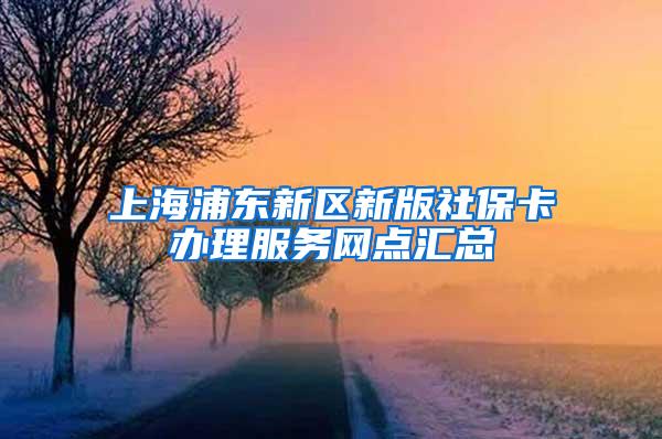 上海浦东新区新版社保卡办理服务网点汇总