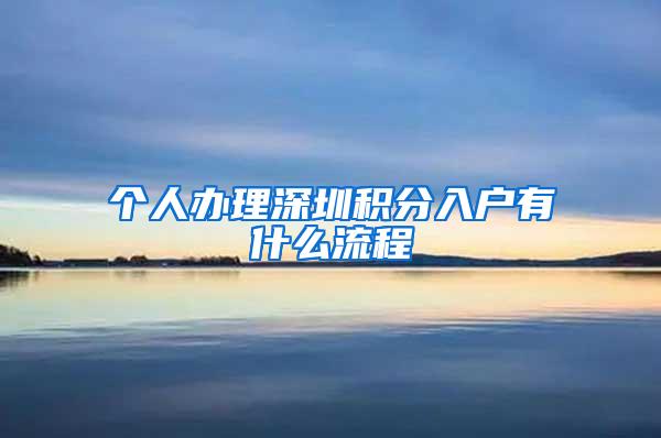 个人办理深圳积分入户有什么流程