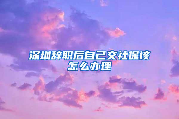 深圳辞职后自己交社保该怎么办理