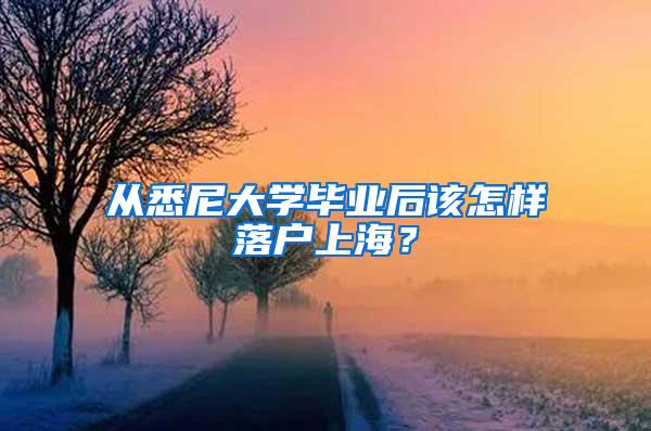 从悉尼大学毕业后该怎样落户上海？