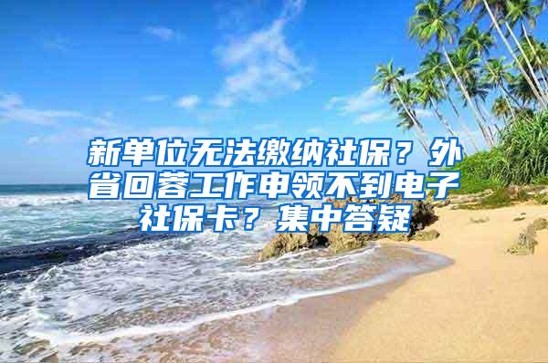 新单位无法缴纳社保？外省回蓉工作申领不到电子社保卡？集中答疑