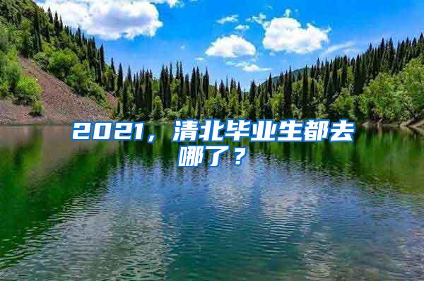 2021，清北毕业生都去哪了？