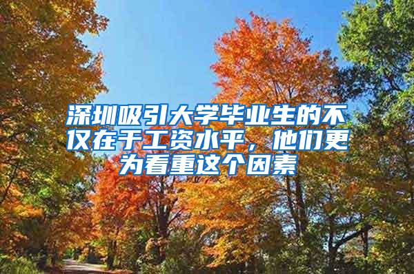 深圳吸引大学毕业生的不仅在于工资水平，他们更为看重这个因素