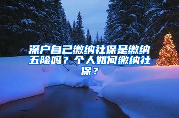 深户自己缴纳社保是缴纳五险吗？个人如何缴纳社保？