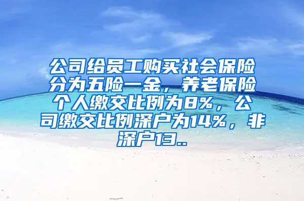 公司给员工购买社会保险分为五险一金，养老保险个人缴交比例为8%，公司缴交比例深户为14%，非深户13..