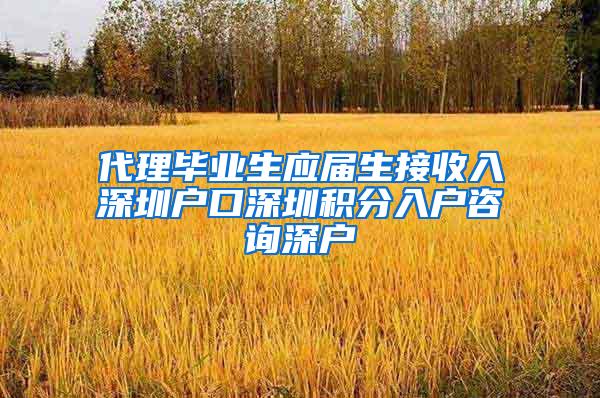 代理毕业生应届生接收入深圳户口深圳积分入户咨询深户