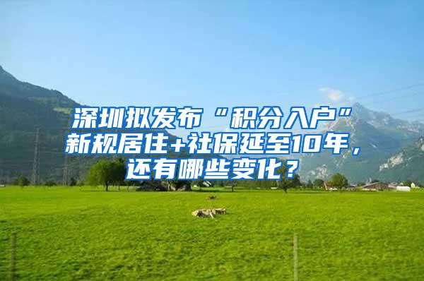 深圳拟发布“积分入户”新规居住+社保延至10年，还有哪些变化？