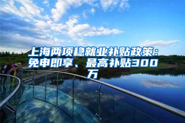 上海两项稳就业补贴政策：免申即享、最高补贴300万