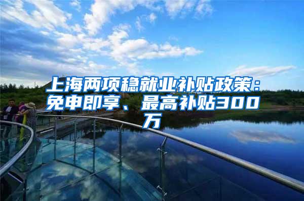 上海两项稳就业补贴政策：免申即享、最高补贴300万