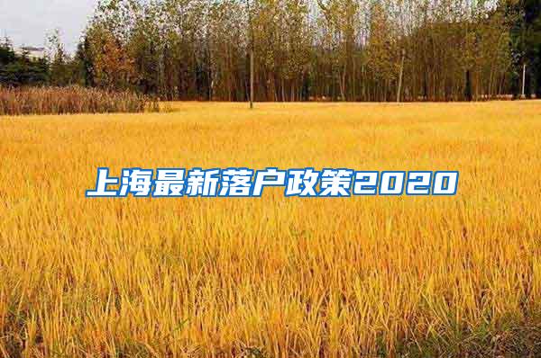 上海最新落户政策2020