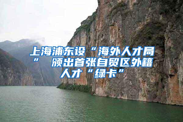 上海浦东设“海外人才局” 颁出首张自贸区外籍人才“绿卡”