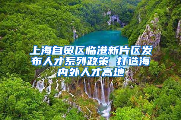 上海自贸区临港新片区发布人才系列政策 打造海内外人才高地