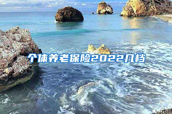 个体养老保险2022几档