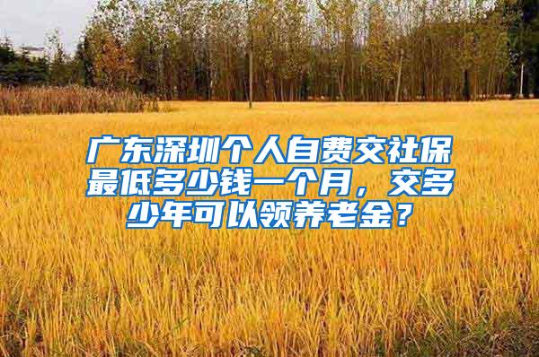 广东深圳个人自费交社保最低多少钱一个月，交多少年可以领养老金？