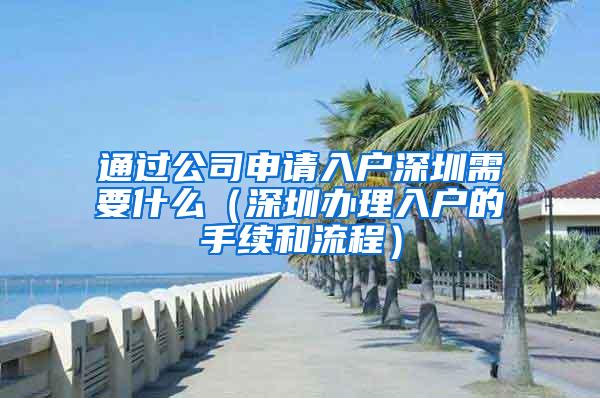 通过公司申请入户深圳需要什么（深圳办理入户的手续和流程）