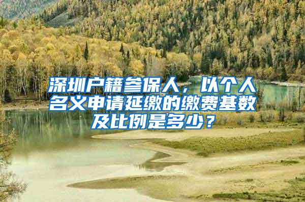 深圳户籍参保人，以个人名义申请延缴的缴费基数及比例是多少？