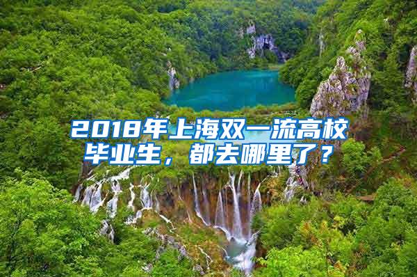 2018年上海双一流高校毕业生，都去哪里了？