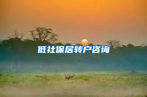 低社保居转户咨询