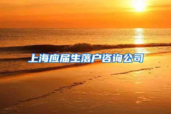 上海应届生落户咨询公司