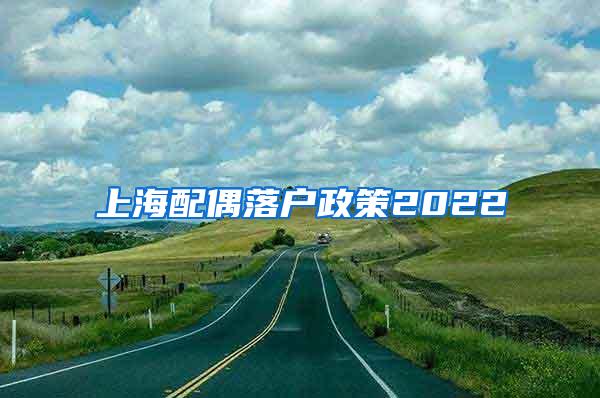 上海配偶落户政策2022