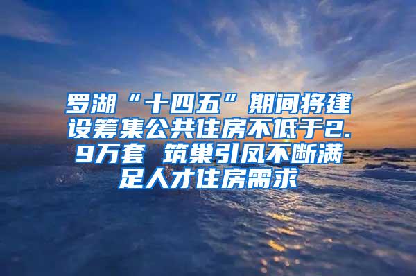 罗湖“十四五”期间将建设筹集公共住房不低于2.9万套 筑巢引凤不断满足人才住房需求