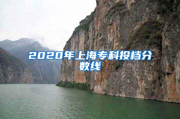 2020年上海专科投档分数线