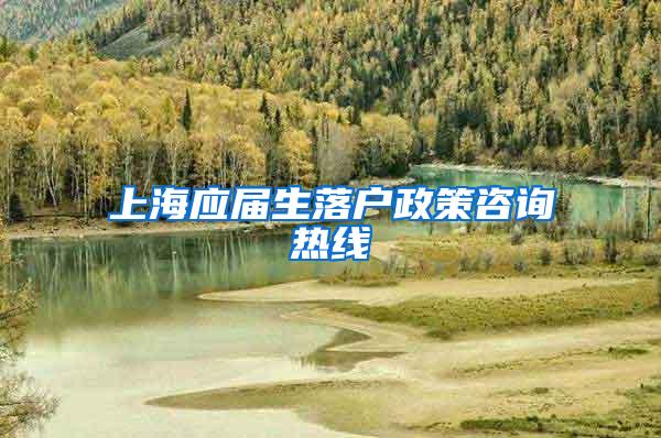 上海应届生落户政策咨询热线