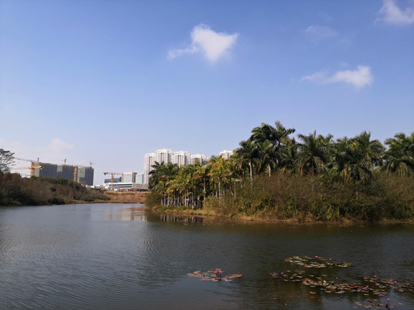 深圳市罗湖区哪里可以办理落户